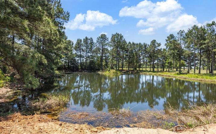 Pictures of Retail, Land property located at 6063 FM 1094, Sealy, TX 77474 for sales - image #1