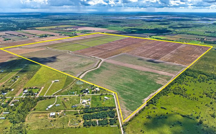 Pictures of Land property located at TBD CR 15, Damon, TX 77430 for sales - image #1
