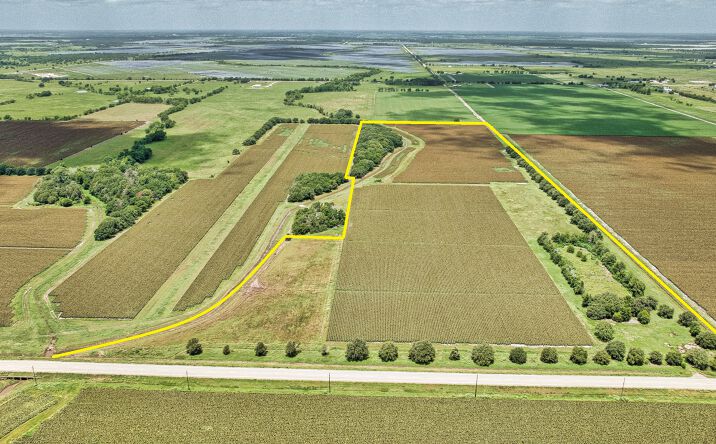 Pictures of Land property located at TBD FM 1462, Damon, TX 77430 for sales - image #1