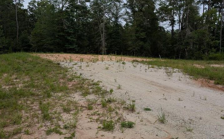 Pictures of Land property located at FM1669, Huntington, TX 75949 for sales - image #1