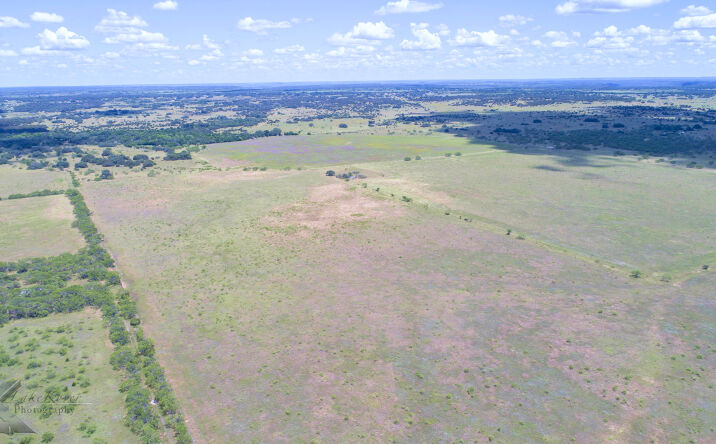 Pictures of Land property located at 7528 FM 717, Ranger, TX 76470 for sales - image #1