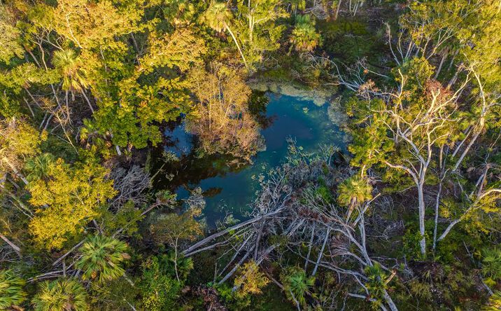 Pictures of Land property located at SW 550th St, Horseshoe Beach, FL 32648 for sales - image #1