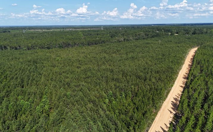 Pictures of Land property located at Tract 16 - Penny Morris Rd, Baxley, GA 31513 for sales - image #1