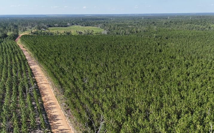 Pictures of Land property located at Tract 12 - Penny Morris Rd, Baxley, GA 31513 for sales - image #1