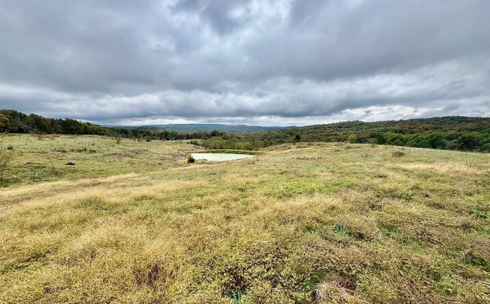 Pictures of Land property located at E 845 Road E, Welling, OK 74471 for sales - image #1