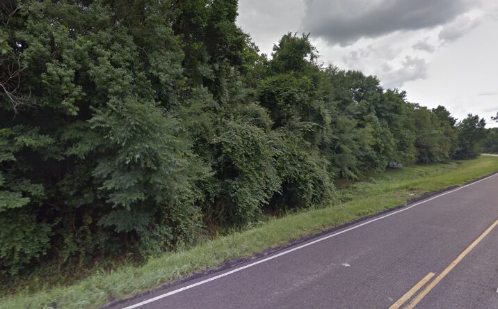 Pictures of Land property located at Pete's Hwy, Denham Springs, LA 70726 for sales - image #1