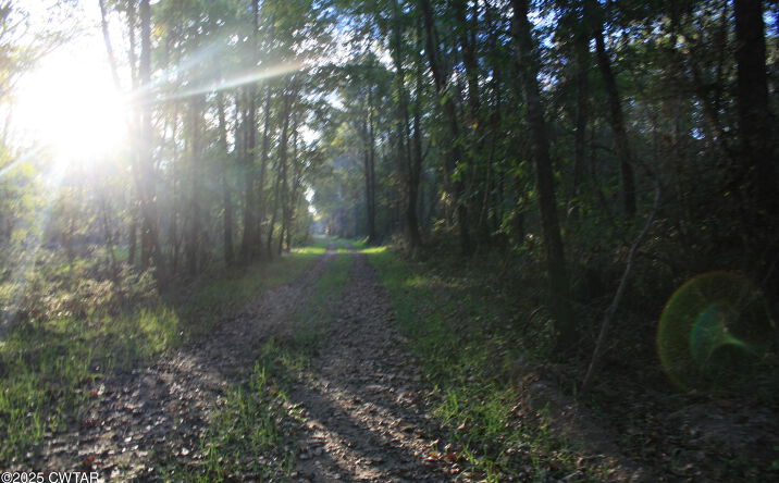 Pictures of Land property located at Garland Road, Henderson, TN 38340 for sales - image #1