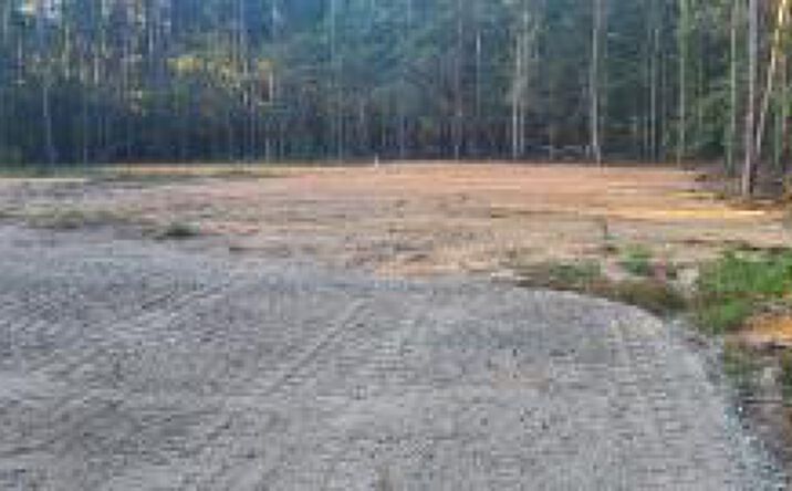 Pictures of Land property located at 12288 Bloomville Road, Manning, SC 29102 for sales - image #1