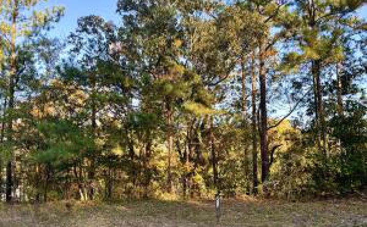 Pictures of Multifamily property located at 134 Springwood Drive, Aiken, SC 29803 for sales - image #1