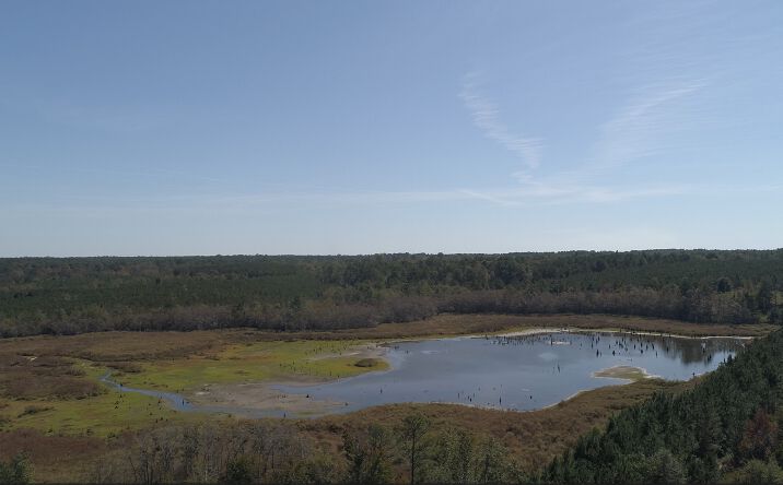 Pictures of Land property located at 2202 Kennedy Bridge Rd, Register, GA 30452 for sales - image #1