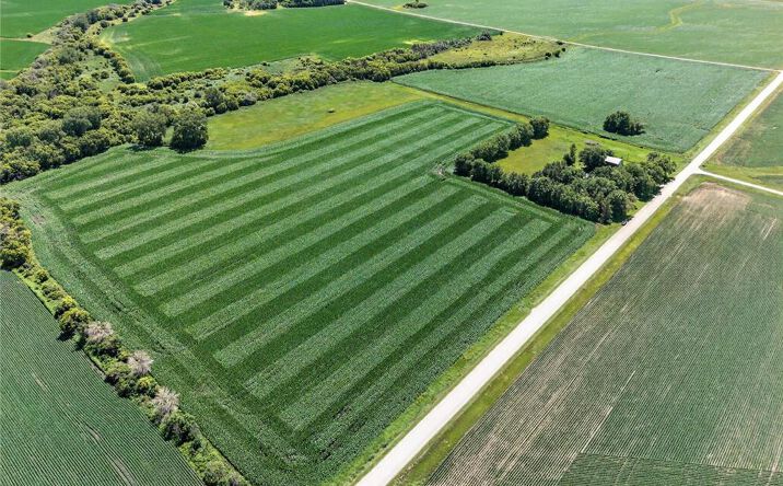 Pictures of Land property located at TBD 270th Avenue SW, Hayfield, MN 55940 for sales - image #1