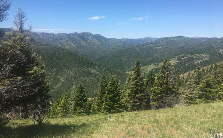 Pictures of Land property located at TBD Bear Track Road, Wolf Creek, MT 59648 for sales - image #1