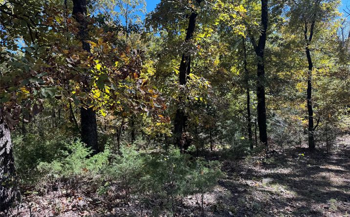 Pictures of Land property located at 1 W 867 Road, Park Hill, OK 74451 for sales - image #1