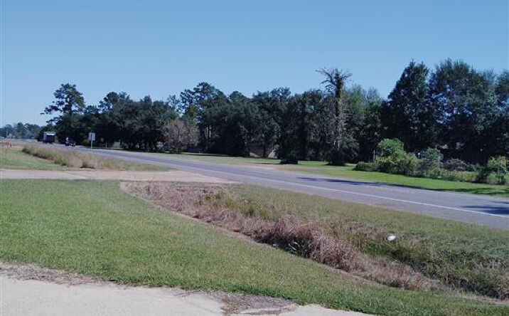 Pictures of Land property located at TBD Hwy 12, Starks, LA 70661 for sales - image #1