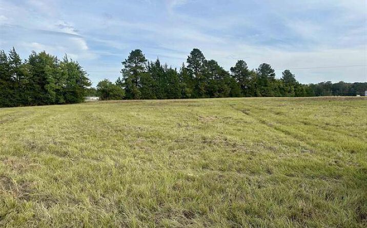 Pictures of Land property located at TBD SE Loop, Carthage, TX 75633 for sales - image #1
