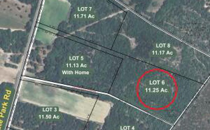 Pictures of Land, Multifamily property located at Lot 6 11.25 Acre State Park Road, Windsor, SC 29856 for sales - image #1