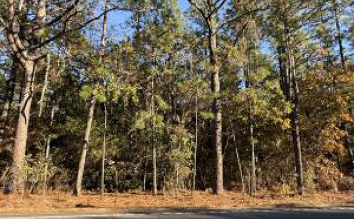 Pictures of Land, Multifamily property located at Lot 1 11.06 Acre State Park Road, Windsor, SC 29856 for sales - image #1