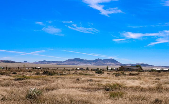 Pictures of Land, Multifamily property located at 104 Lt. Colonel Merritt, Fort Davis, TX 79734 for sales - image #1