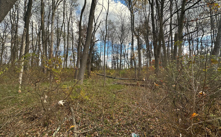 Pictures of Land property located at 143 Vail Rd, Knowlton Township, NJ 07832 for sales - image #1