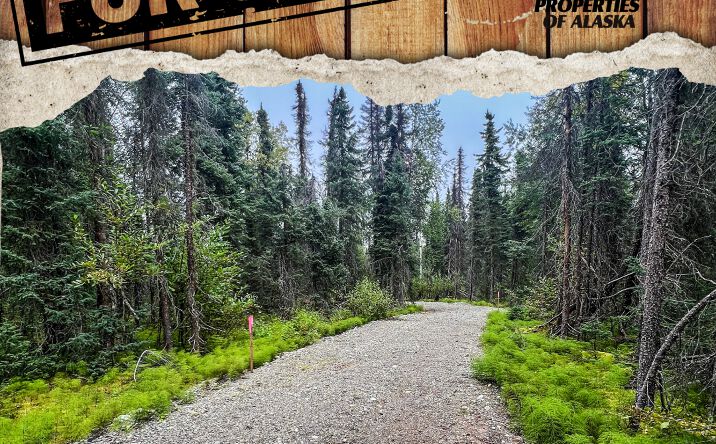 Pictures of Land property located at 39795 Parks Hwy, Willow, AK 99688 for sales - image #1