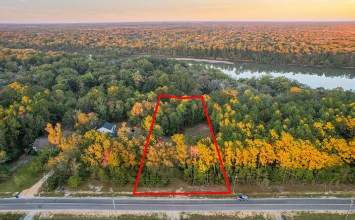 Pictures of Land property located at 450 Bluff Rd, Jesup, GA 31545 for sales - image #1