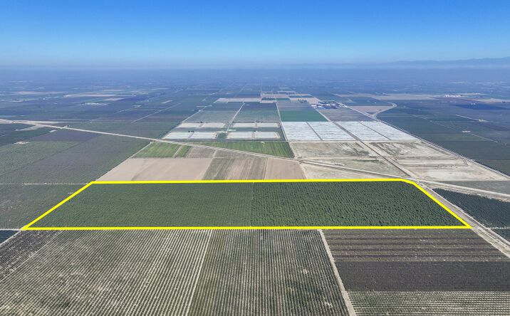 Pictures of Land property located at Corona Avenue, Laton, CA 93242 for sales - image #1