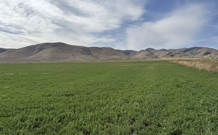 Pictures of Land property located at Samaria Foothills Farm, Malad Valley, ID 83252 for sales - image #1