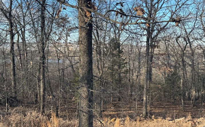 Pictures of Land property located at 5 W 867 Road, Park Hill, OK 74451 for sales - image #1