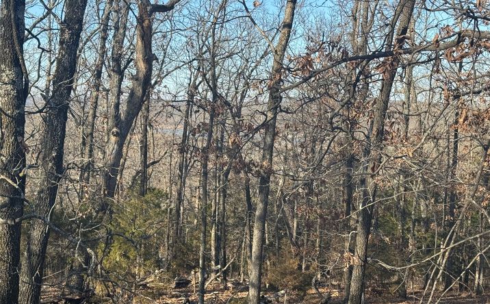 Pictures of Land property located at 2 W 867 Road, Park Hill, OK 74451 for sales - image #1