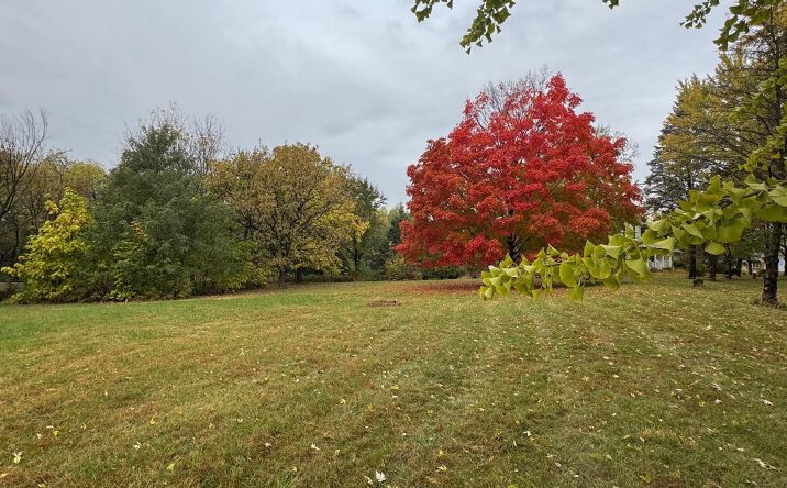 Pictures of Land, Special Purpose property located at 1504 Wonder Way, Fairfield, IA 52556 for sales - image #1