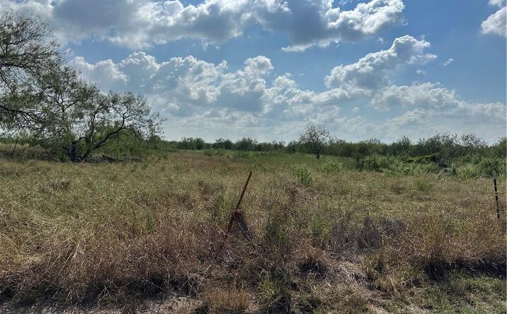 Pictures of Land property located at 1 Weber Road, San Benito, TX 78586 for sales - image #1