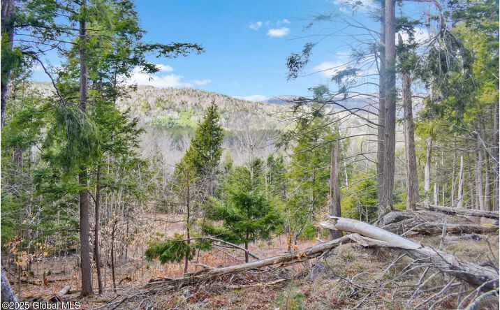 Pictures of Land property located at L17 Mountain Meadows Road, Horicon, NY 12860 for sales - image #1