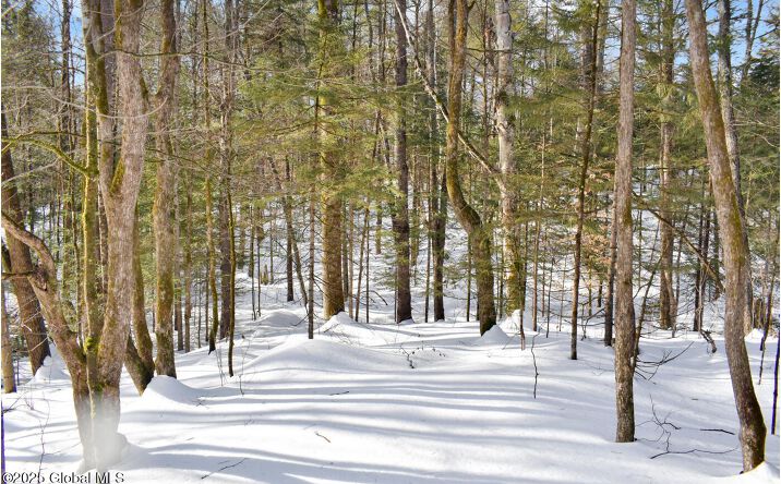 Pictures of Land property located at L96 Highview Lane Lot 12, Johnsburg,, NY 12886 for sales - image #1