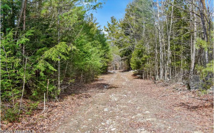 Pictures of Land property located at L11 Mountain Meadows Road, Pottersville, NY 12860 for sales - image #1