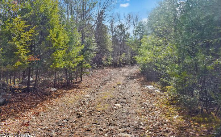Pictures of Land property located at L15 Mountain Meadows Road, Horicon, NY 12860 for sales - image #1