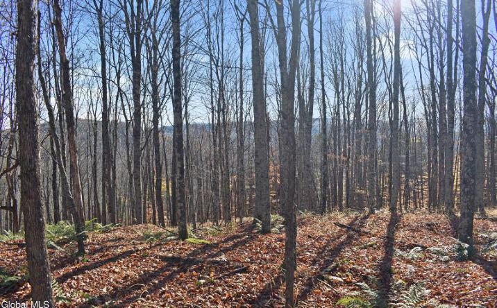 Pictures of Land property located at 261 Valentine Pond Road, Pottersville, NY 12860 for sales - image #1