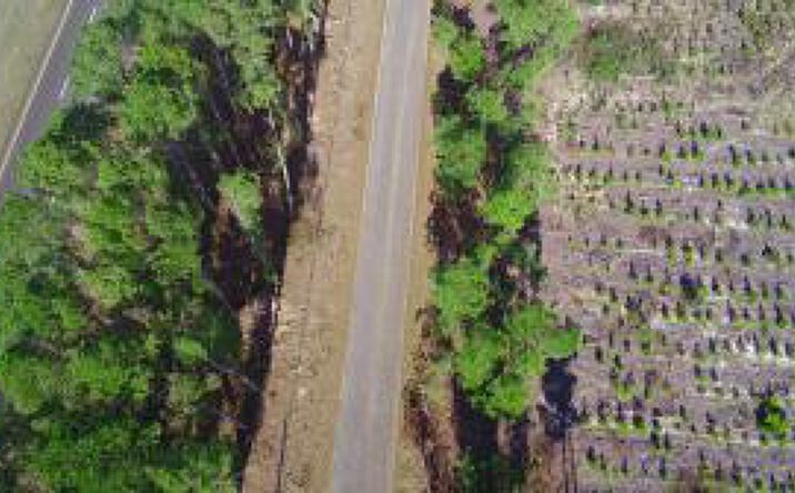 Pictures of Land property located at 0 Three Notch Road, Monetta, SC 29105 for sales - image #1