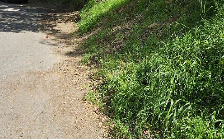 Pictures of Land property located at 10468 Scenario Ln, Los Angeles, CA 90077 for sales - image #1