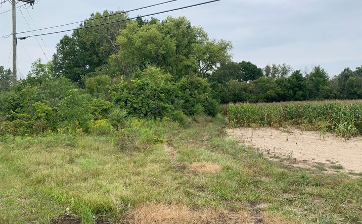 Pictures of Land property located at 8501 Martz Road, Ypsilanti, MI 48197 for sales - image #1