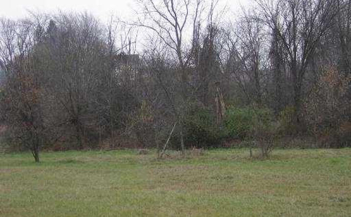 image of property at 912 SAVANNAH CT Saline MI 48176-1073