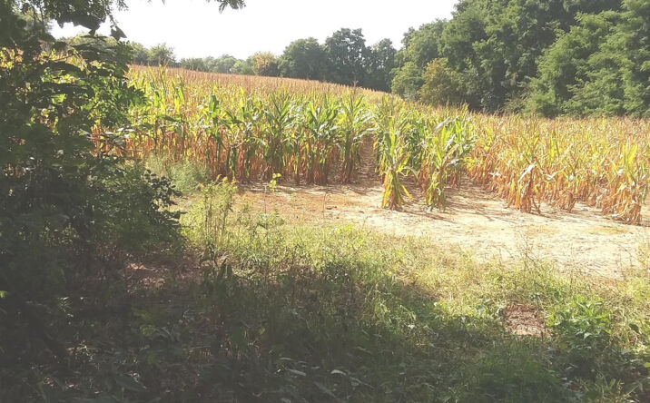 image of property at KALMBACH RD Chelsea MI 48118