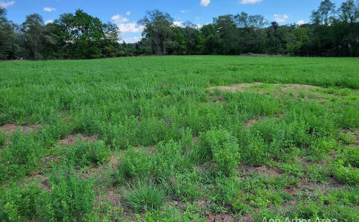 image of property at 8665 WARNER RD Saline MI 48176-9079