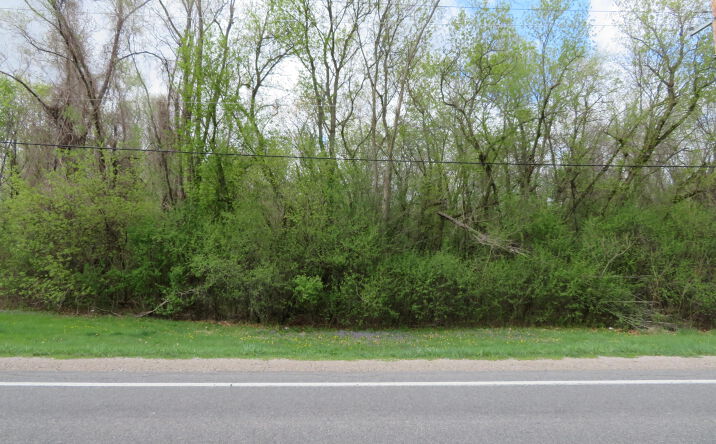 Pictures of Land property located at 5193 Textile Road, Ypsilanti, MI 48197 for sales - image #1