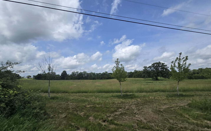 Pictures of Land property located at Walkowe Lane, Manchester, MI 48158 for sales - image #1