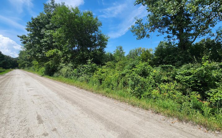 Pictures of Land property located at Grames Road, Milan, MI 48160 for sales - image #1