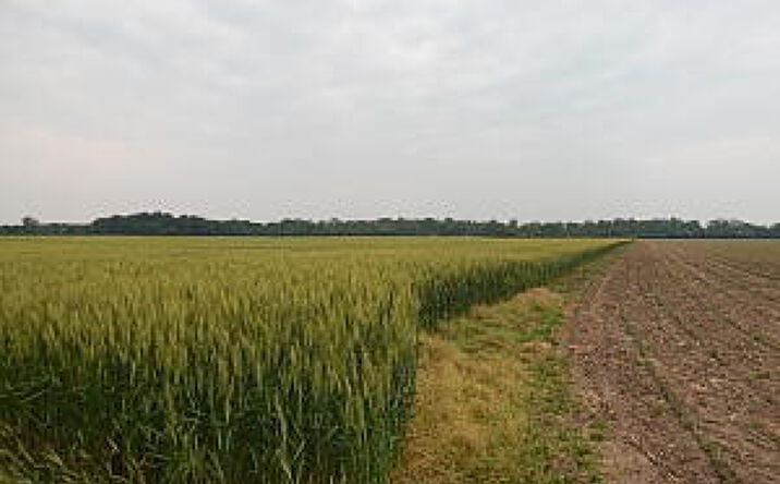 Pictures of Land property located at 6200 Yankee Road, Ottawa Lake, MI 49267 for sales - image #1
