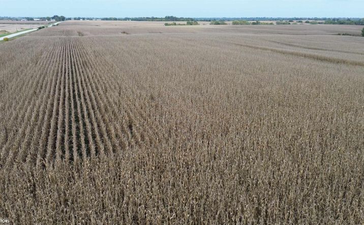 Pictures of Land, Special Purpose property located at 160 A 450th Street, Chariton, IA 50049 for sales - image #1