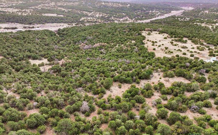 Pictures of Land property located at 240 Sedillo Hill Road Road, Tijeras, NM 87059 for sales - image #1