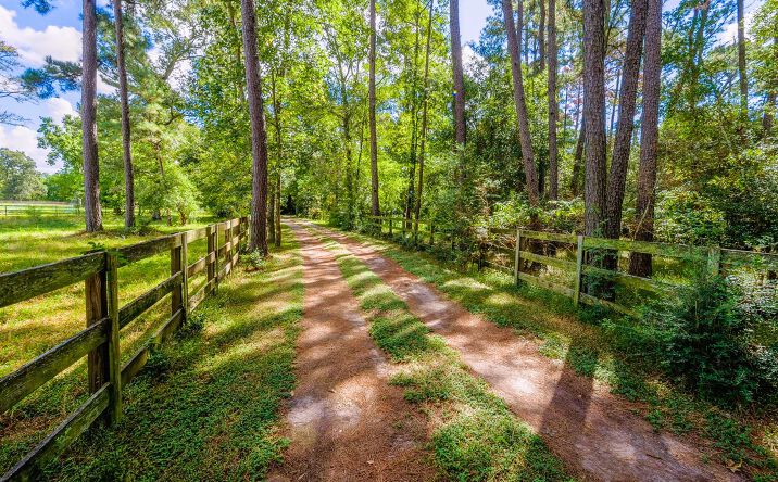 Pictures of Land property located at 39526 Cimarron Way, Magnolia, TX 77354 for sales - image #1