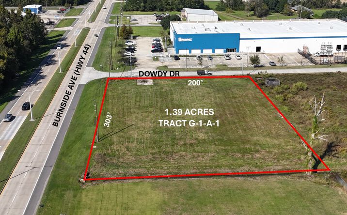 Pictures of Land property located at Hwy 44 at Dowdy, Gonzales, LA 70737 for sales - image #1